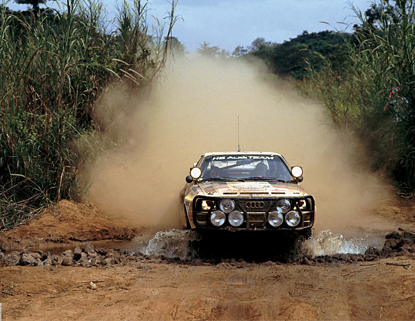 Safari Rally 01