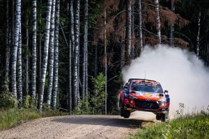 Rally Estonia, Thierry Neuviile-Martijn Wydaeghe