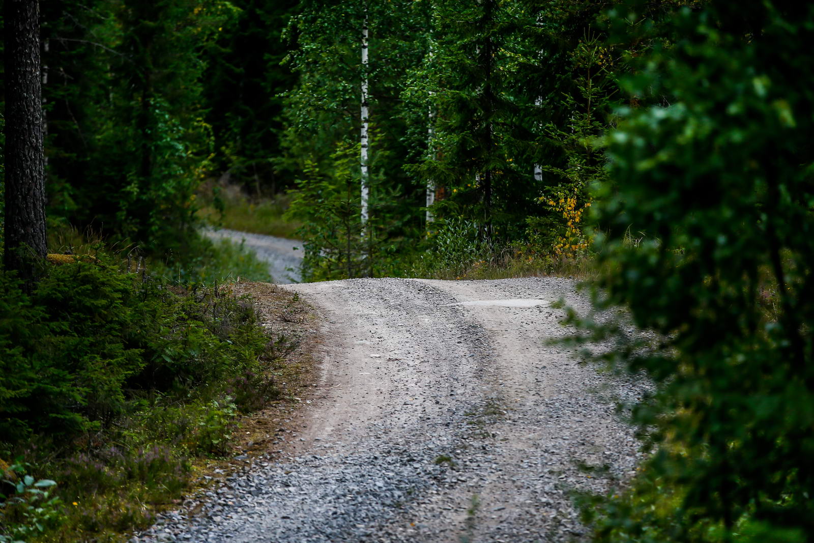 Rally Finland Misc 02