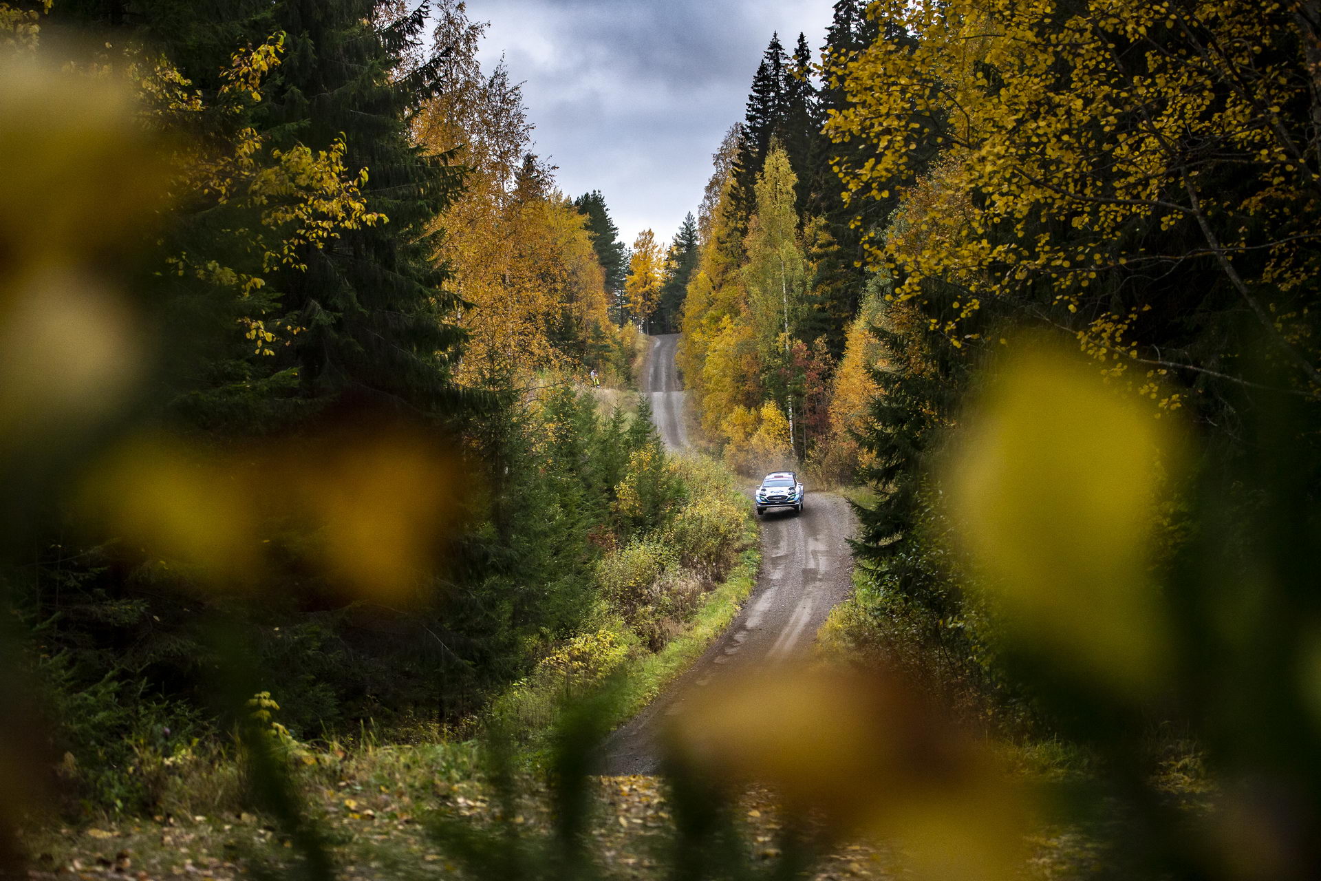 WRC 2021 Finlandia