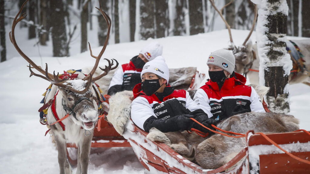 Ράλλυ Σουηδίας Reindeer