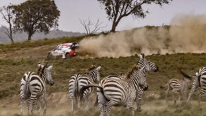 Safari Rally Kenya Day 3 Rovanpera 003
