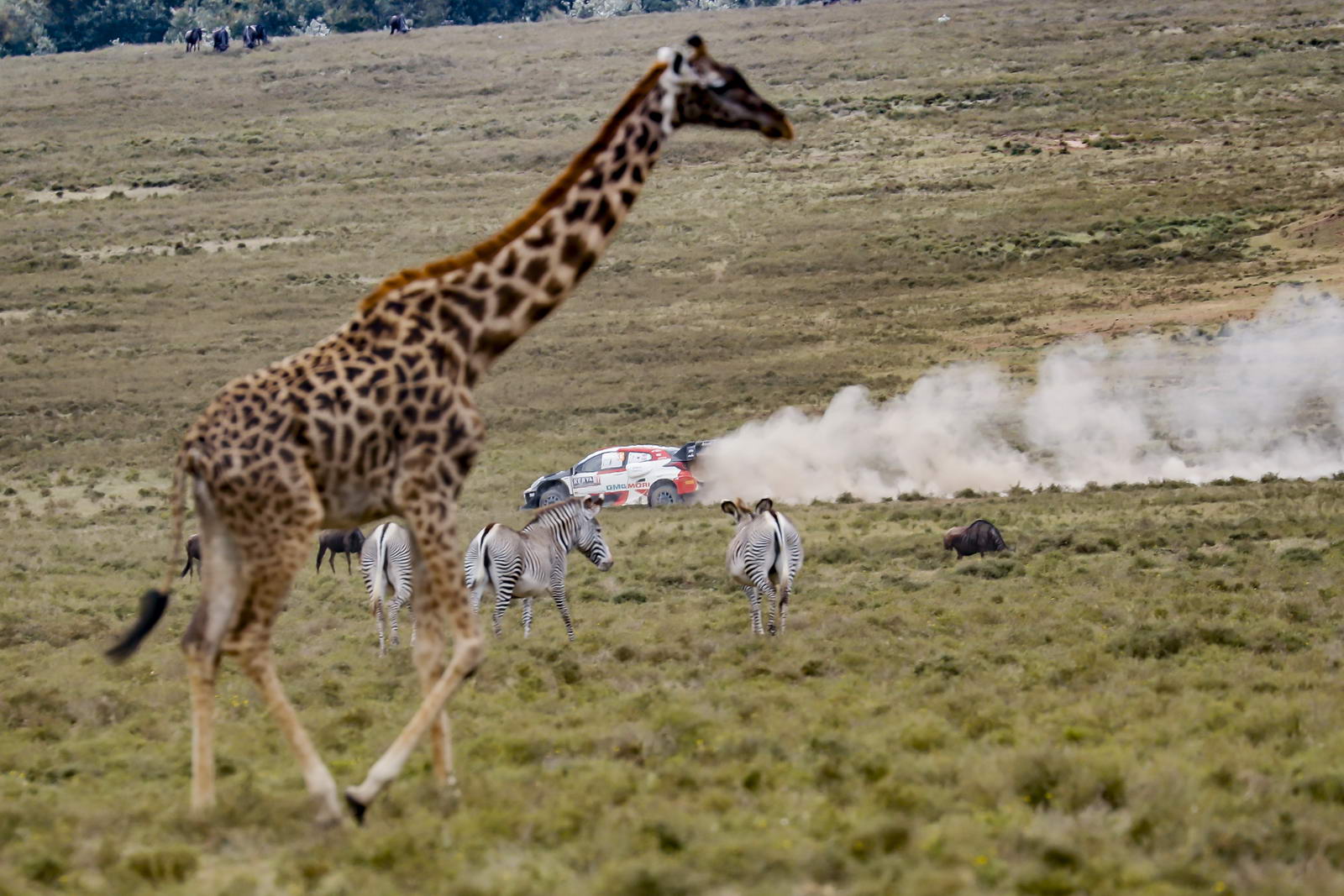 Safari Rally Kenya Debrief 09
