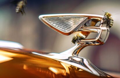 οι-ιπτάμενες-μέλισσες-της-bentley-189132