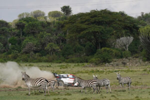 Elfyn Evans Toyota GR Yaris Rally1 Rally Safari Kenya 2023