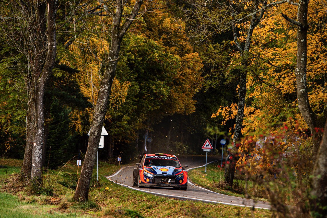 Hyundai i20 Rally1 - Thierry Neuville - WRC