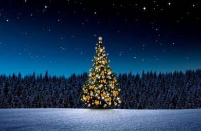το-χριστουγεννιάτικο-δέντρο-που-αγορ-241300
